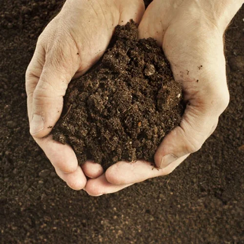 Organic Manure